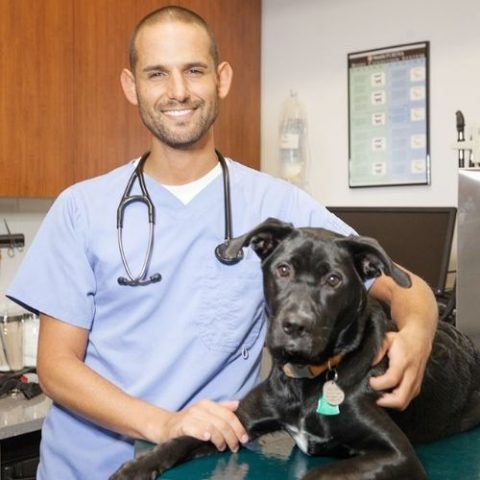 Veterinarian In New York, NY 10001 | West Chelsea Veterinary