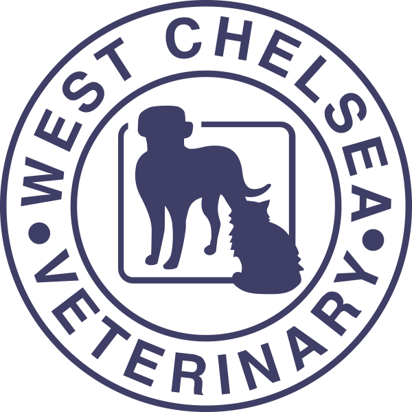 West Chelsea Veterinary